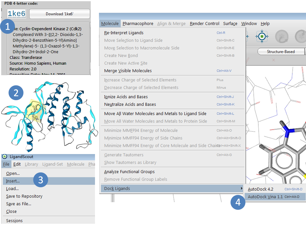 Ligandscout教程--Vina分子对接操作流程