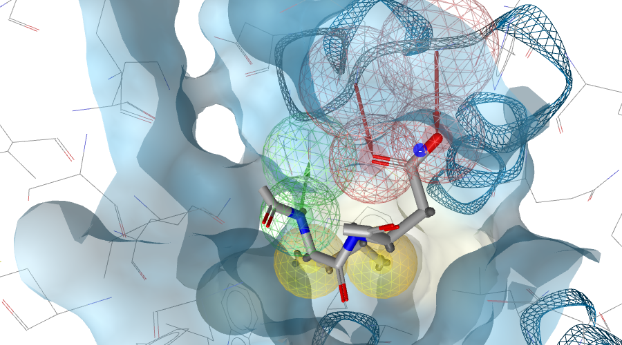 Ligandscout案例 | HIV-1整合酶与LEDGF/p75蛋白-蛋白相互作用小分子抑制剂的发现-墨灵格的博客