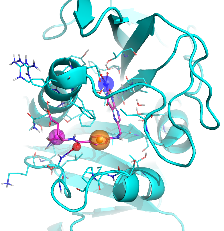 蛋白配体相互作用图