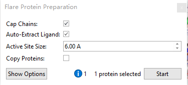 Flare protein preparation