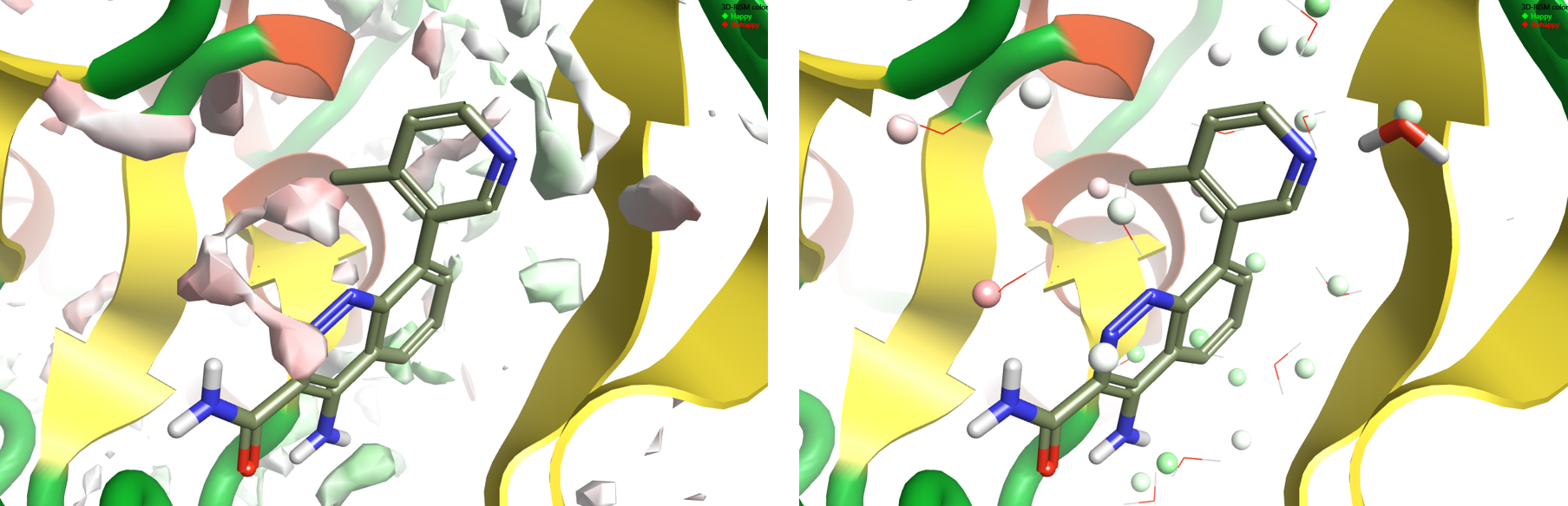 3D-RISM results on 4ZLZ