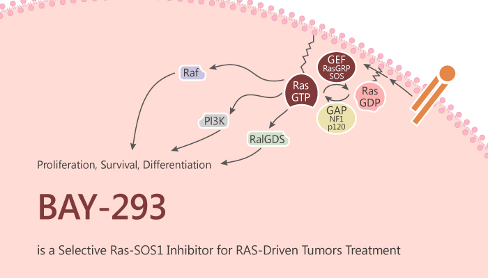 SPARK案例 | 拜尔发现通过干扰RAS-SOS1相互作用能够阻断RAS激活的SOS1抑制剂-墨灵格的博客