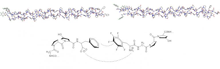 XED力场提供了苯基和五氟苯基相互作用定性和定量的正确结果