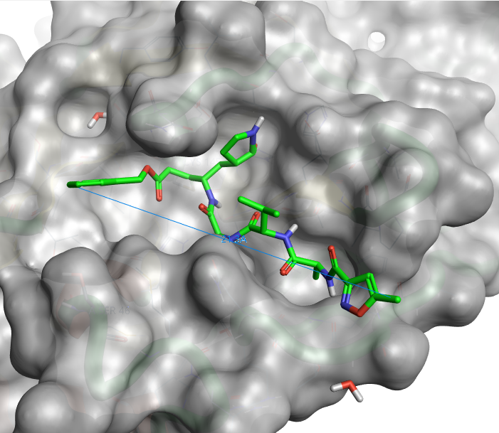 2019-nCoV 3CL水解酶与抑制剂的复合物结构-墨灵格的博客