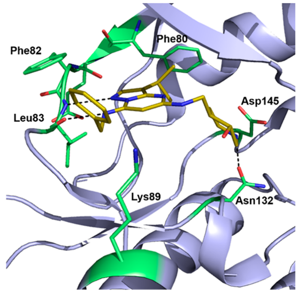 CT7001（黄色）与CDK2（浅紫色）的共晶结构(PDB ID: 5JQ5)