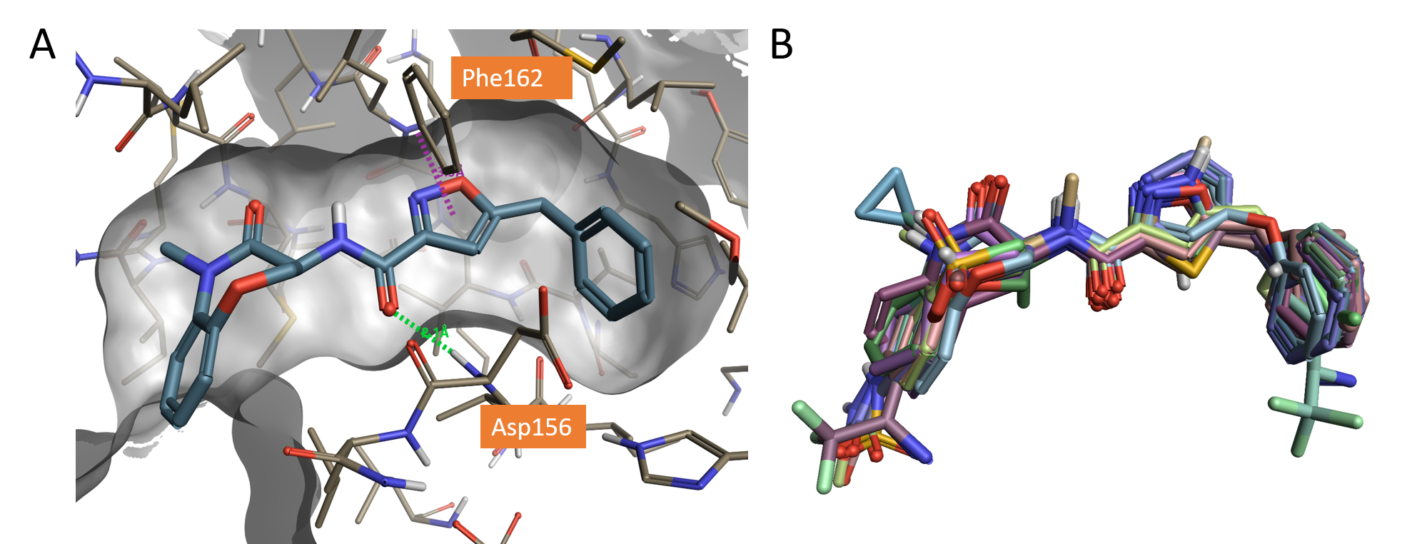 基于结构与配体的方法协同研究RIPK1抑制剂的SAR-墨灵格的博客