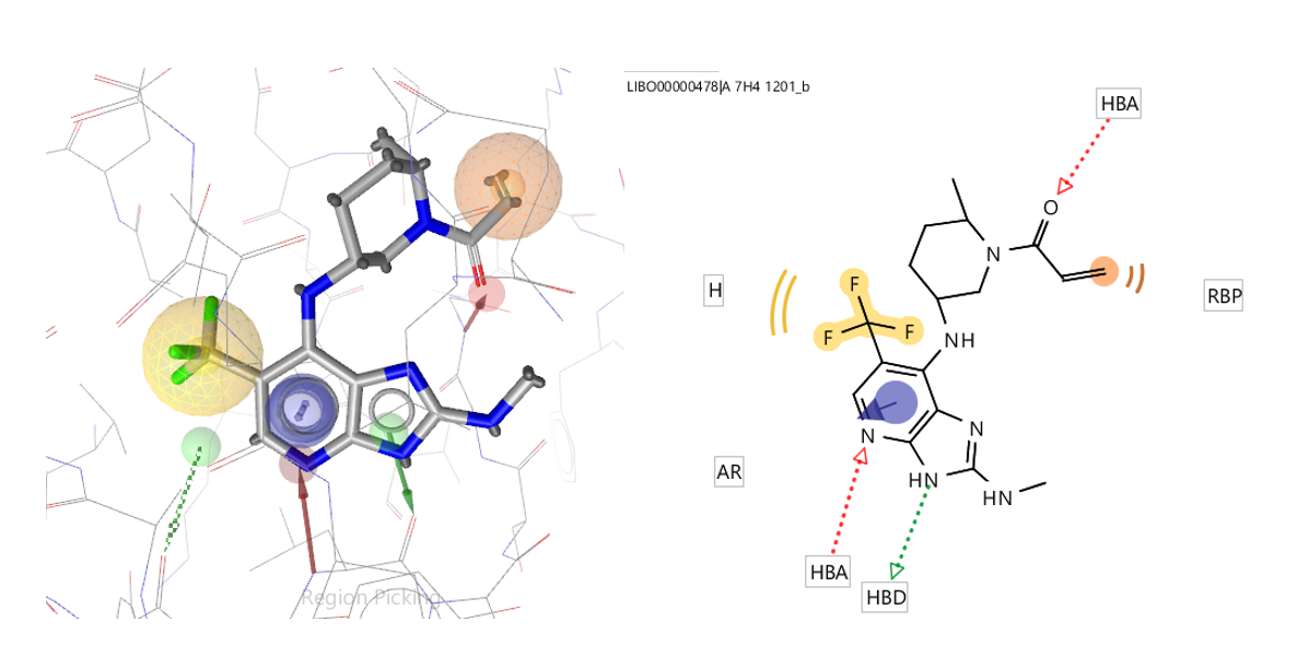 JAK3共价抑制剂激酶铰链区结合片段的虚拟筛选、裁剪与移植-墨灵格的博客