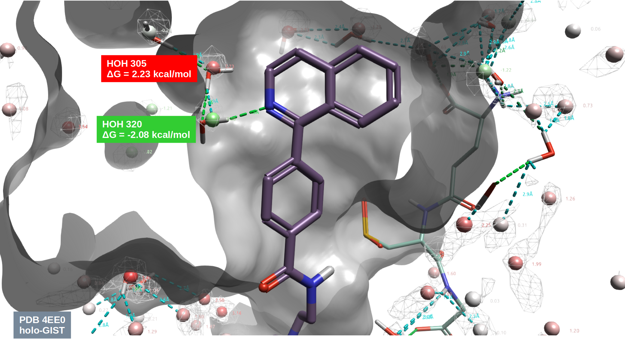 化合物9与hH-PGDS共晶结构(PDB 4EE0)结合位点的holo-GIST水分析结果