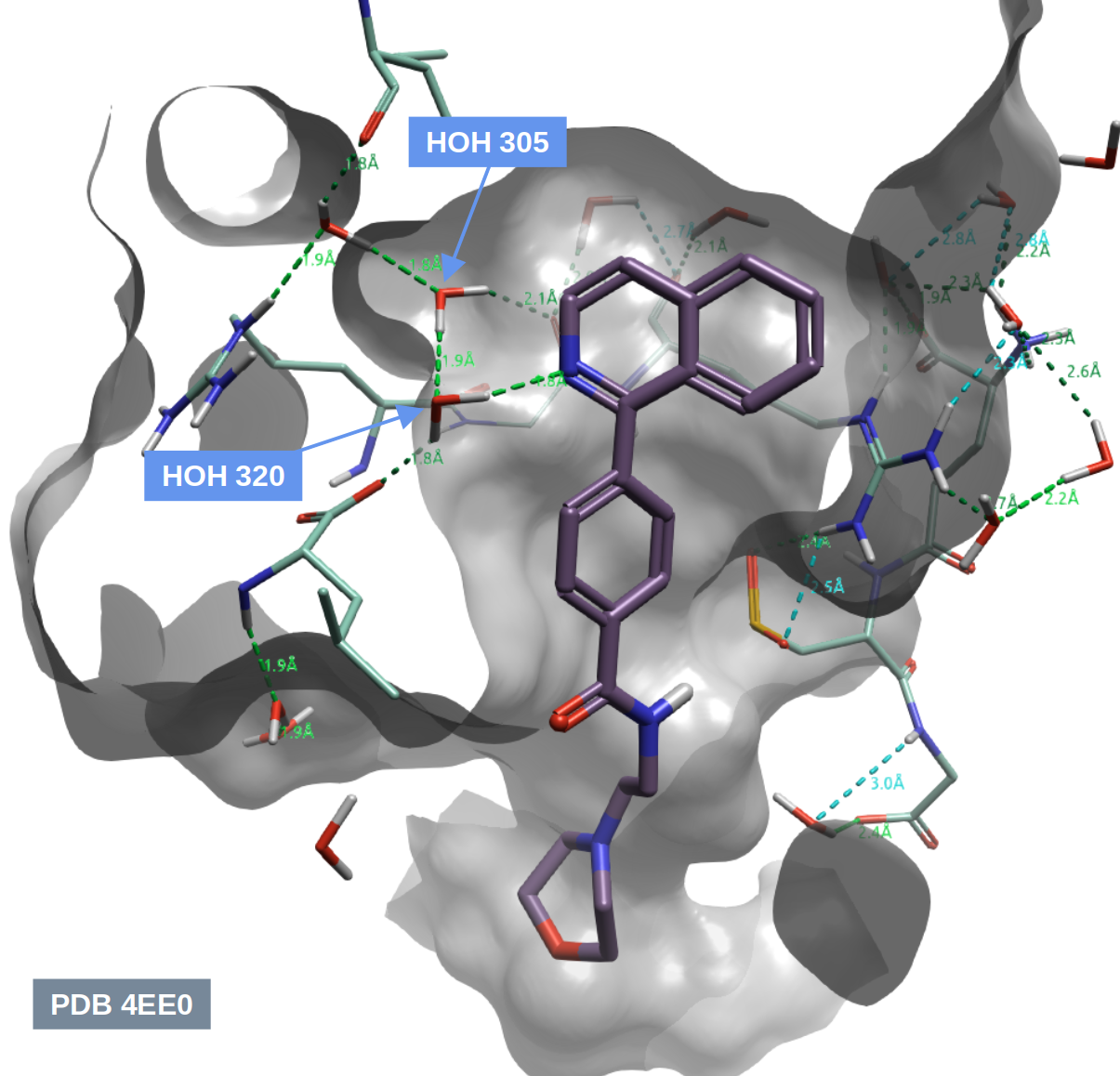 化合物9与hH-PGDS的共晶结构(PDB 4EE0)的结合模式以及关键的水分子示意图