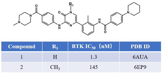 图1. BTK抑制剂化合物1与2的化学结构及其活性