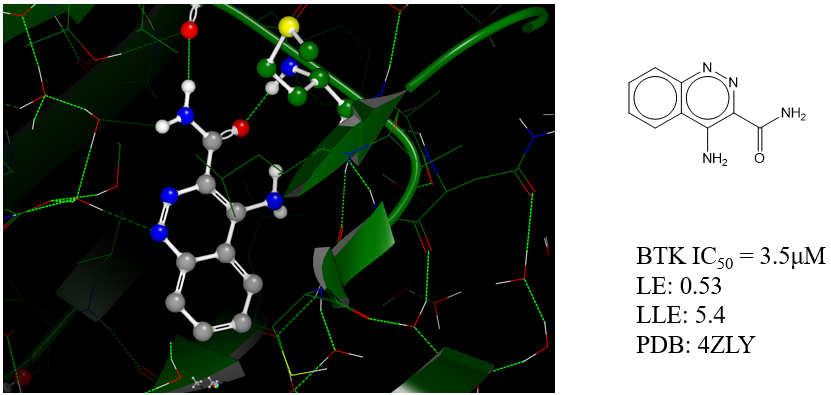 图7. Christopher等人<sup>[4]</sup>的片段筛选苗头化合物（PDB 4ZLY）结构及其活性