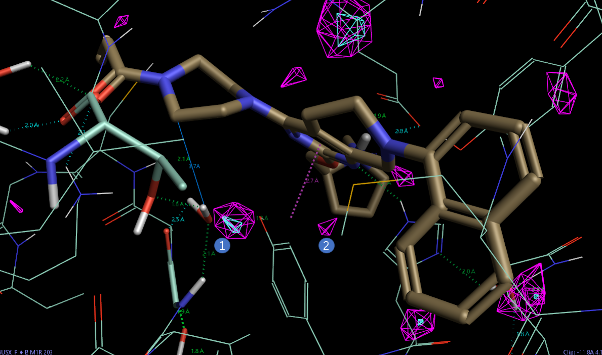 KRAS<sup>G12C</sup>共价抑制剂MRTX849先导化合物优化过程中的水分子替换-墨灵格的博客