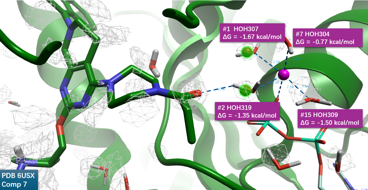 Michael受体共价结合片段羰基氧与Happy结合水的相互作用