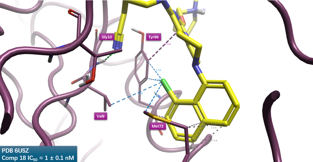 Nonclassical interactions of C8-Cl (naphthalene, Compound 18) with KRAS