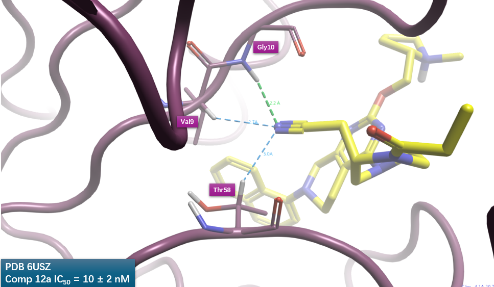 化合物12a的腈基与KRAS之间非经典相互作用分析