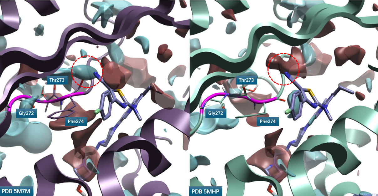 化合物2、3与 ATX共晶结构PDB 5MHP、5M7M的PIP比较