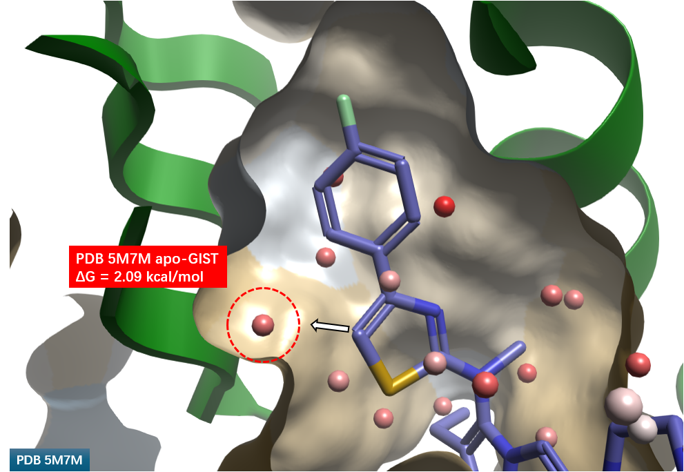 基于apo-GIST的水合位点