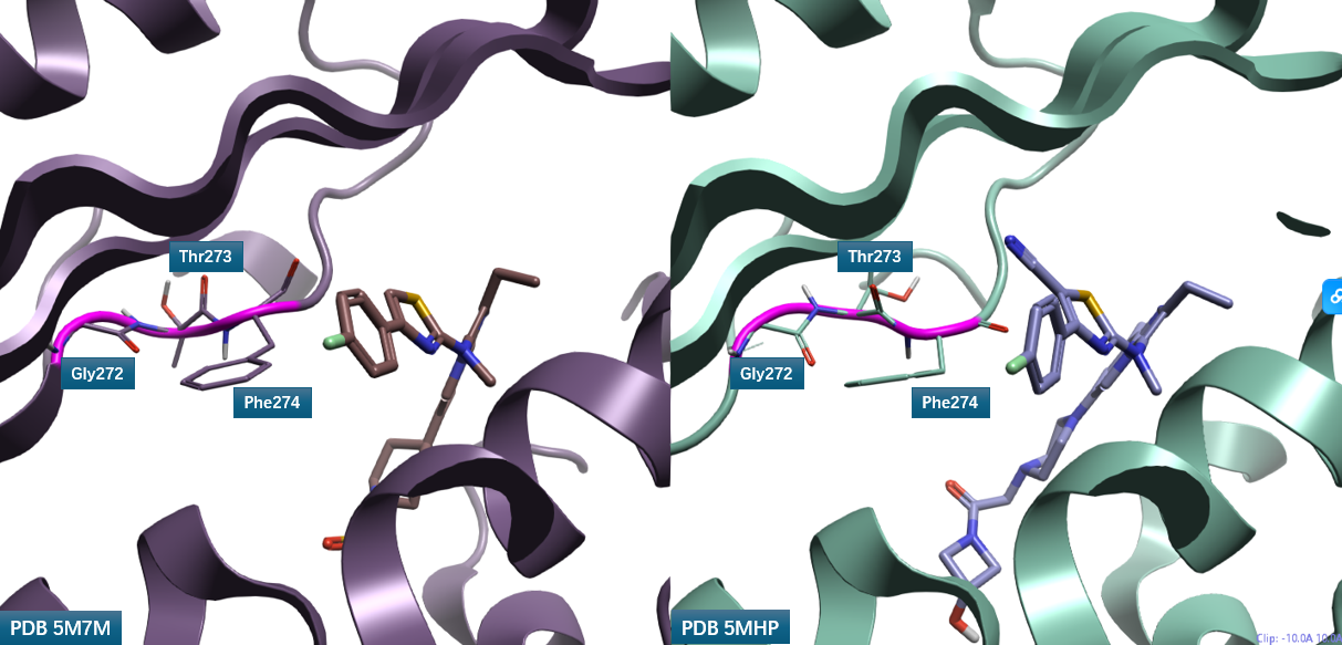 比较化合物3,2共晶结构PDB 5M7M与5MHP的结合位点