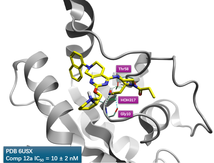 比较12a、7与KRAS共晶结构的结合位点，12a的腈基占据了HOH317的位置