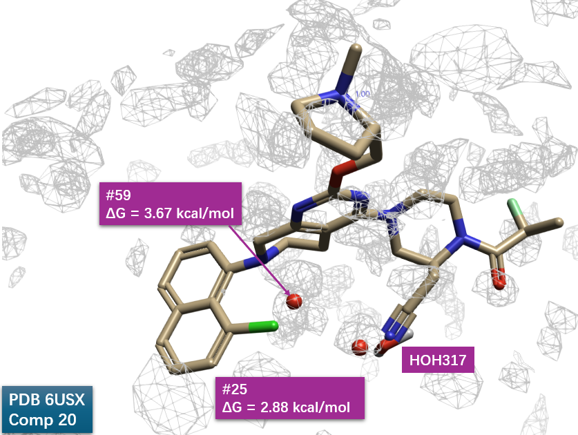 通过将化合物 20 与 KRAS 的共晶结构（PDB 6UT0）叠合至化合物 7-KRAS 共晶结构（PDB 6USX），分析了化合物 20（MRTX849）与位于 PDB 6USX 结合口袋中关键水合位点之间的关联