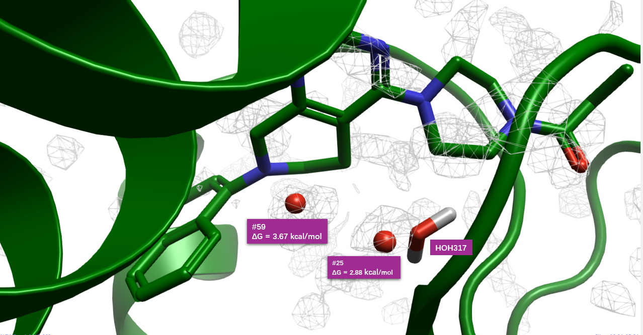 两个高能水合位点