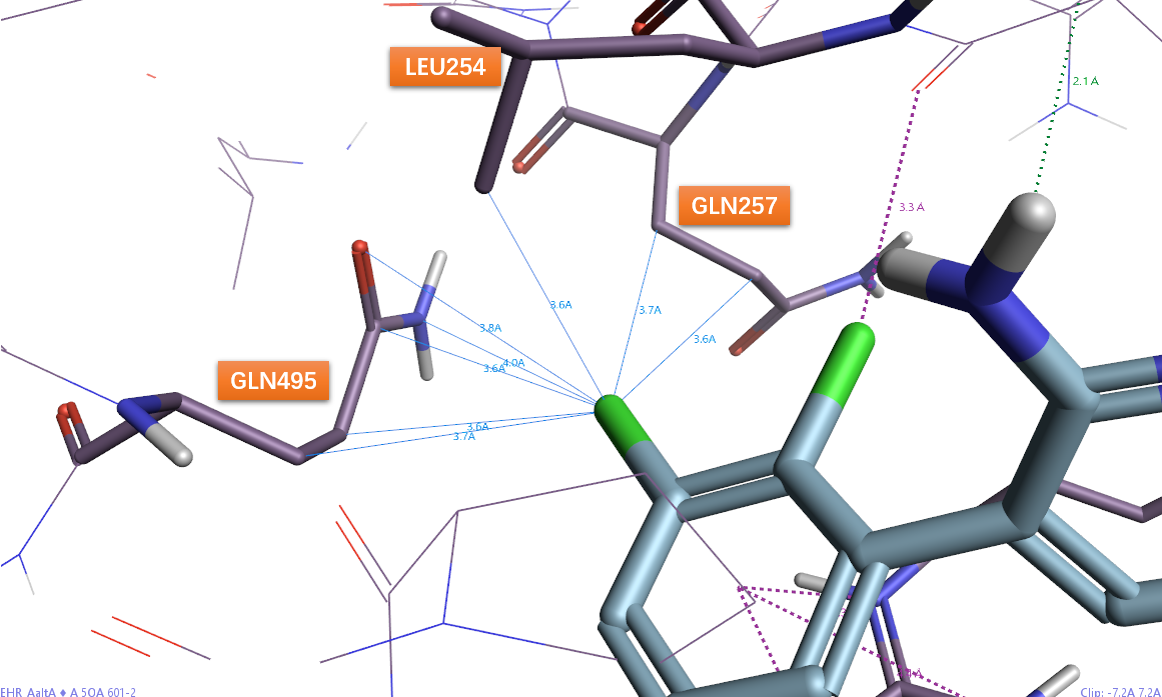 图15. 化合物2与SHP2共晶结构PDB 5EHP结合位点中,化合物2芳基片段间位氯的非经典相互作用。