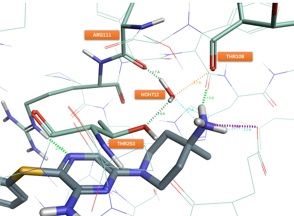 图25. PDB 7JVN结合位点HOH712的氢键网络