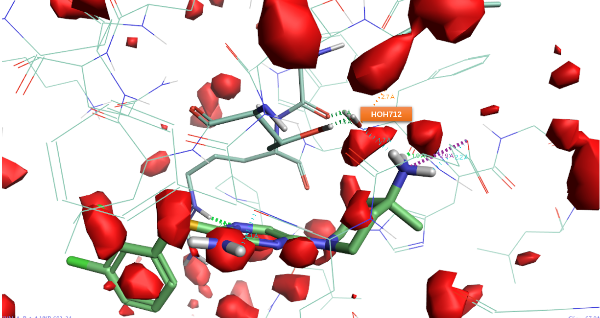 图30. 化合物24与SHP2共晶结构PDB 7JVN结合位点的GIST分析