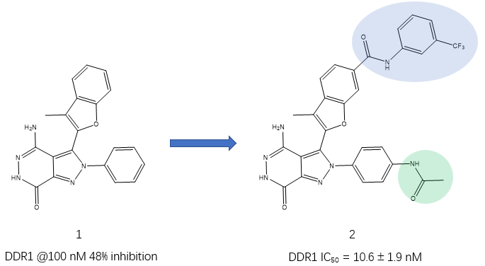 DDR1抑制剂苗头化合物DC1的优化