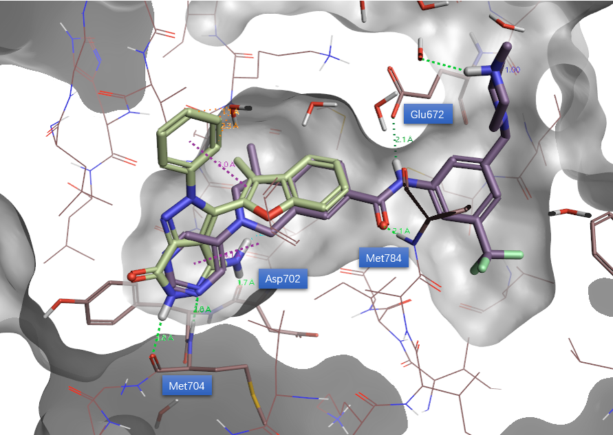 AutoT&T算例——DDR1抑制剂从苗头化合物到先导化合物的发现-墨灵格的博客