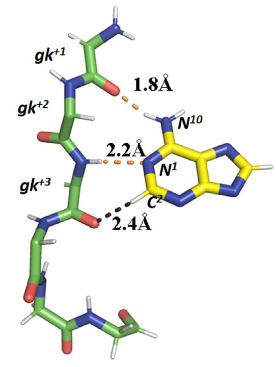 用XED力场分析激酶抑制剂的C─H⋯O氢键-墨灵格的博客