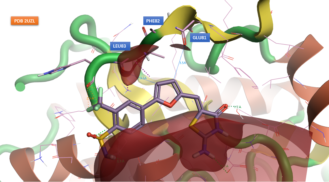 用XED力场分析激酶抑制剂的C─H⋯O氢键-墨灵格的博客
