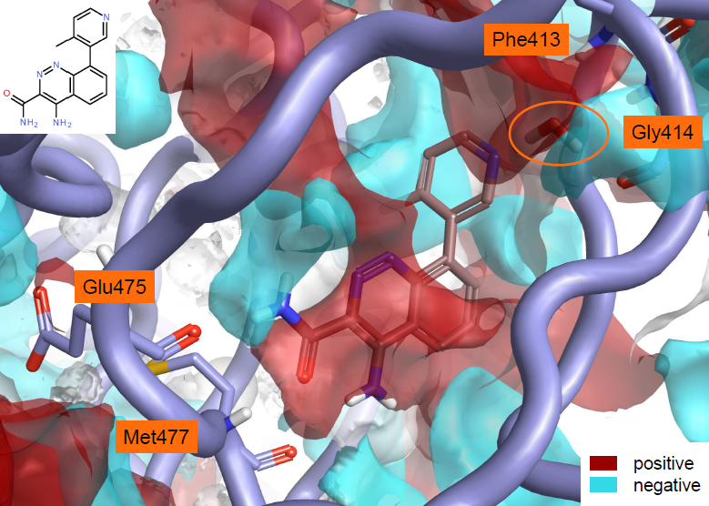 PDB 4ZLZ的化合物8与BTK干结合位点的蛋白相互作用势