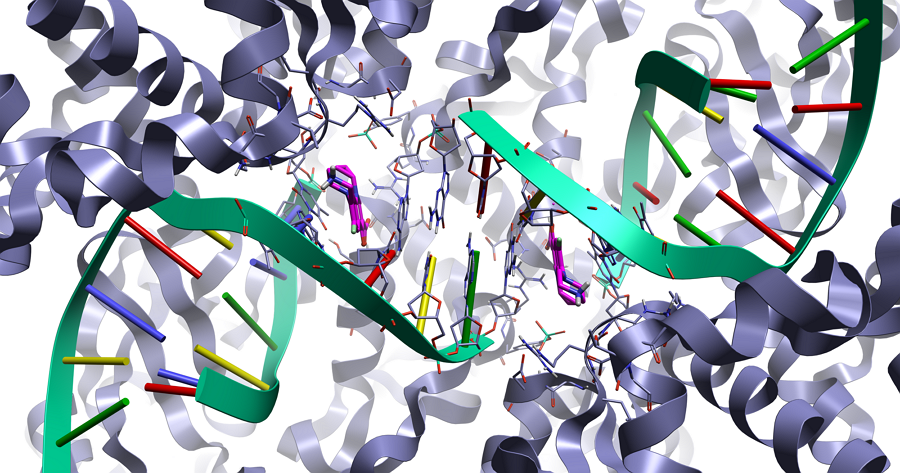 在药物发现中利用蛋白-DNA/RNA相互作用-墨灵格的博客
