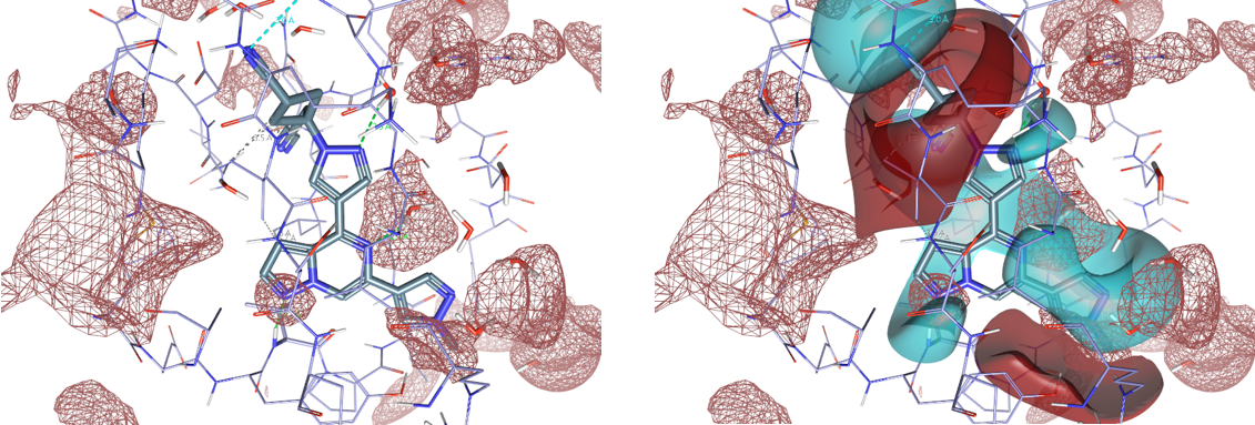 用静电分析TYK2 JH1抑制剂铰链结合片段的SAR-墨灵格的博客