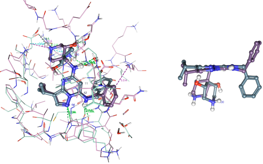 用基于配体的蛋白叠合来解释CT7001对CDK7/CDK2激酶选择性-墨灵格的博客