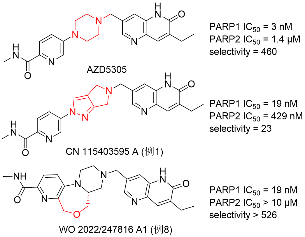 从构象稳定性与水分子替换角度理解PARP1抑制剂HRS1167的设计-墨灵格的博客