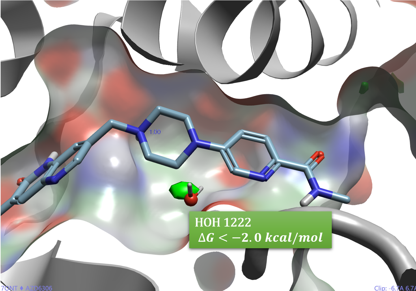 从构象稳定性与水分子替换角度理解PARP1抑制剂HRS1167的设计-墨灵格的博客