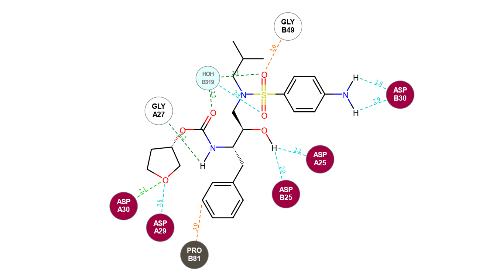 Amprenavir与HIV蛋白酶活性位点（PDB 7N6X）的2D相互作用图