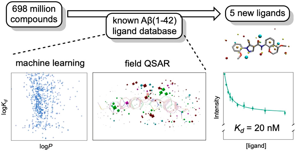 Discovery of High-Affinity Amyloid Ligands Using a Ligand-Based Virtual Screening Pipeline
