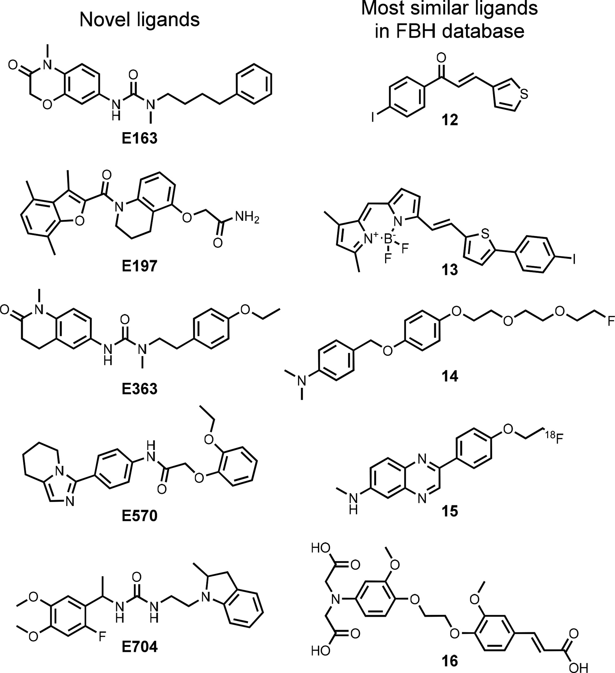 新型配体的化学结构与FBH数据库中相应配体的化学结构进行比较