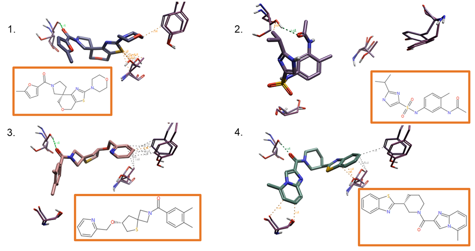 分级挑选之后，打分排序靠前的化合物示例（2D与3D）