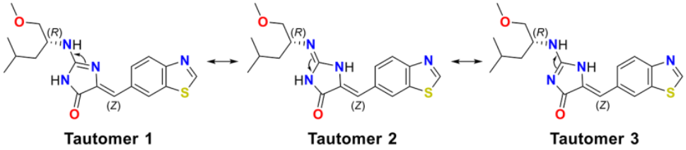 Leucettinib-21的三种互变异构体