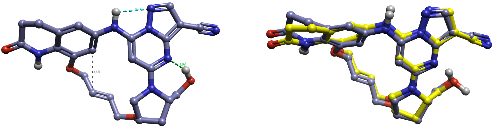 化合物11的最低能构象A（左）及其与生物活性构象的叠合（右）
