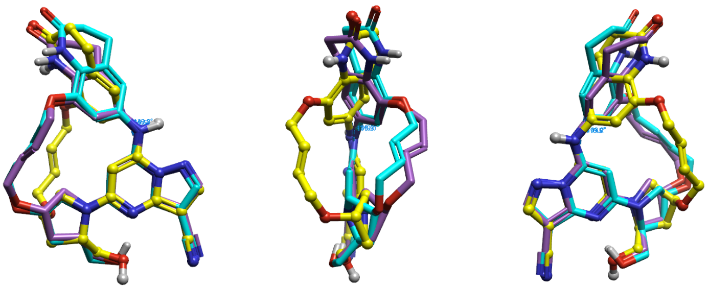 化合物11的构象B（蓝绿色）、E（紫色）与生物活性构象（黄色）的叠合