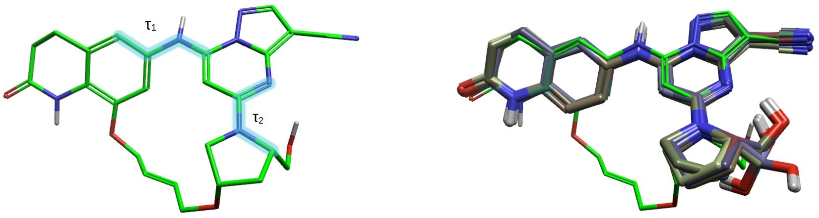 化合物11的生物活性构象（绿色）与化合物8的8个生物活性构象（棍棒模型）叠合比较