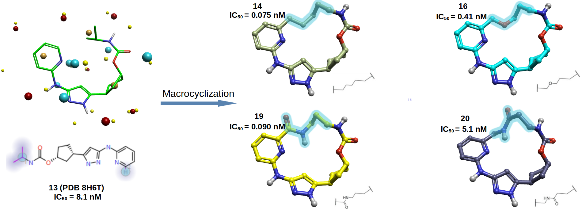 some macrocyclic cdk2 inhibitors:化合物13的大环抑制剂设计