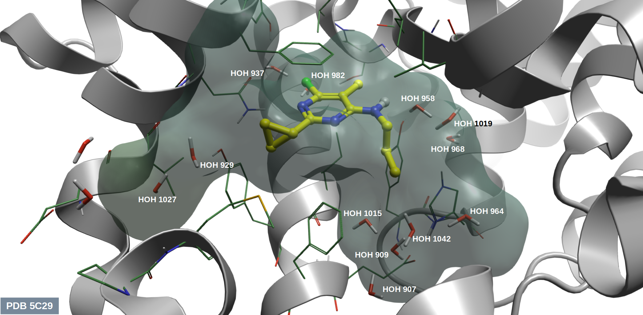 化合物9h与PDE10A的共晶结构PDB 5C29