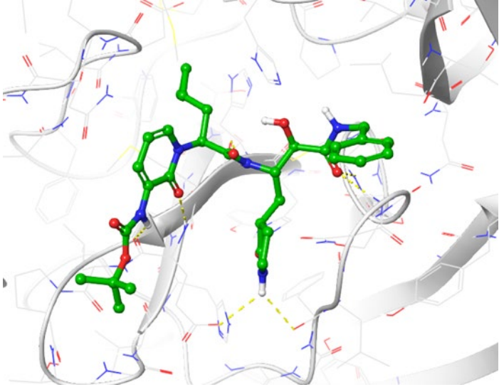 SARS-Cov2主蛋白酶的晶体结构以及3D分子模板输入