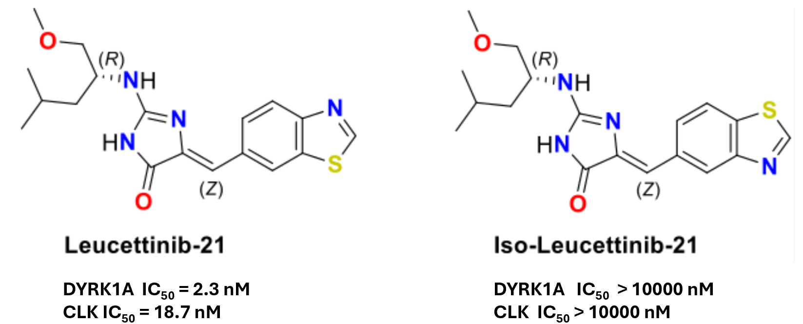 Leucettinib-21的化学结构式